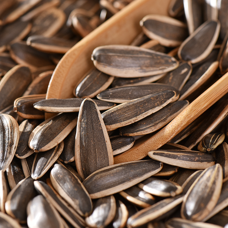 363原味熟瓜子内蒙古大葵花籽