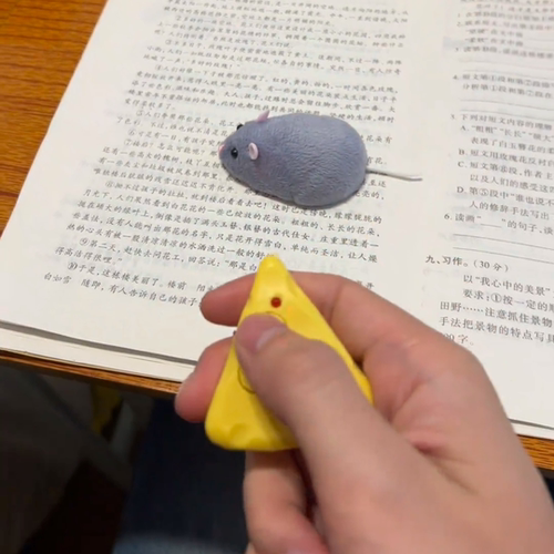 遥控电动发光老鼠整蛊逗猫玩具