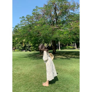 通勤蕾丝金线刺绣长袖 早春法式 连衣裙 新月女神 张羞羞