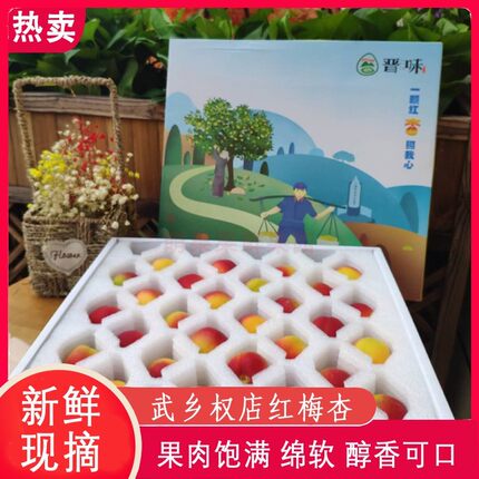 武乡梅杏山西梅杏权店梅杏新鲜现摘3斤5斤顺丰包邮产地直发现货