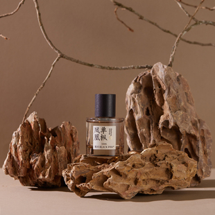 松皮石化妆品拍摄小道具石头摄影森林场景石块拍照摆件几何体造景