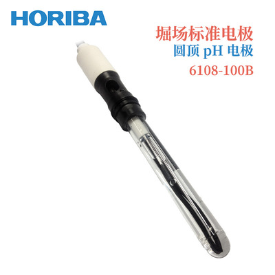 原装日本进口HORIBA堀场P