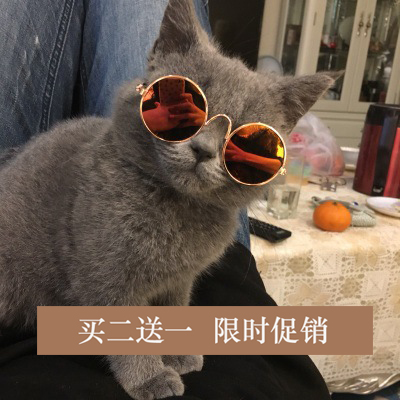 猫咪眼镜狗狗墨镜小型网红宠物狗太阳镜拍照狗宠物搞怪装饰道具猫