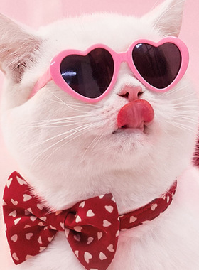 宠物猫眼镜复古耍酷狗眼镜创意潮流爱心眼镜拍照道具猫狗搞怪墨镜
