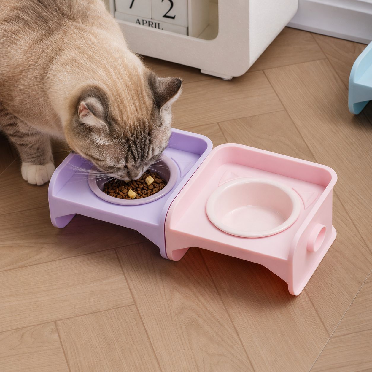 简约纯色护边宠物碗带方形碗架陶瓷猫碗狗碗防打翻食盆水碗批发