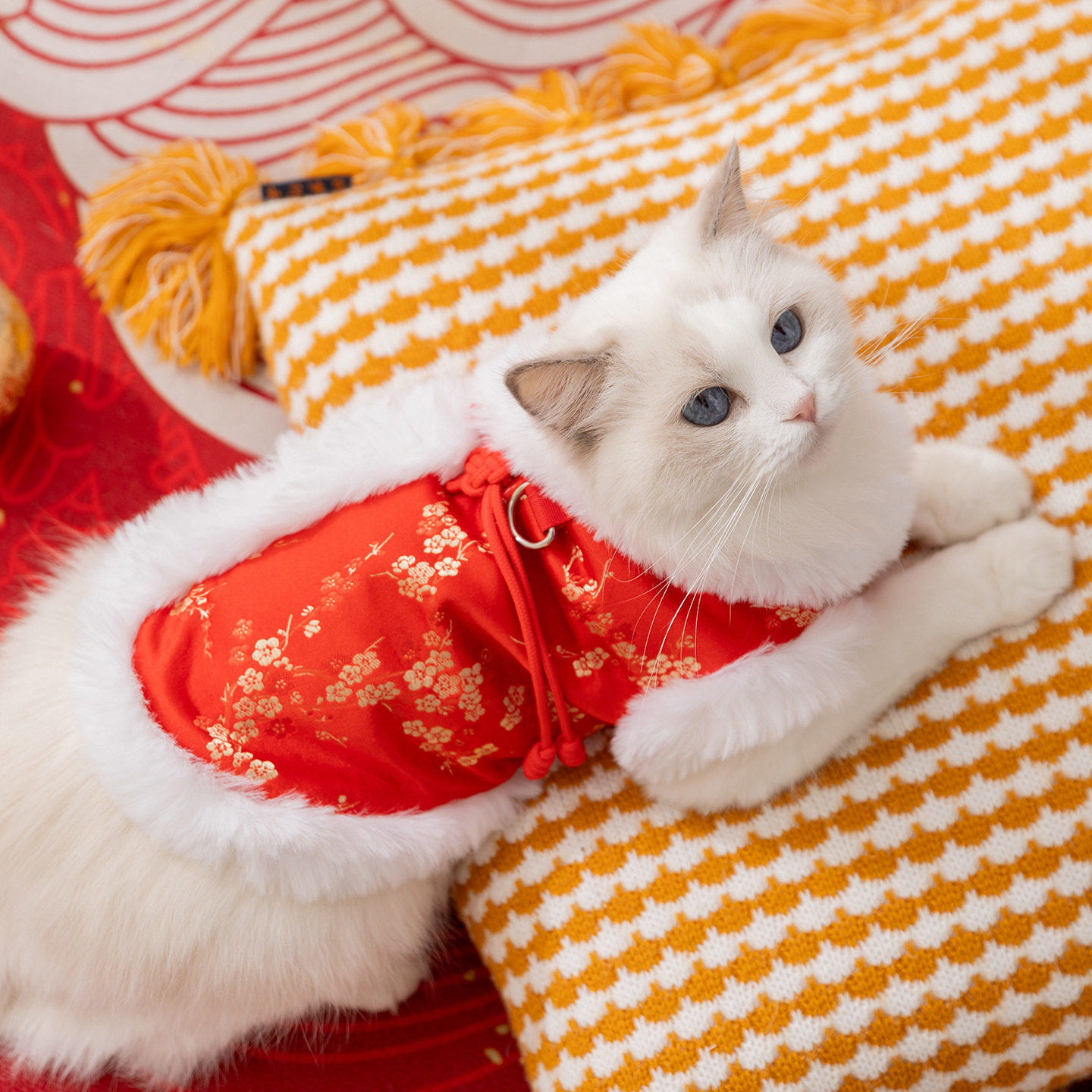 猫咪衣服秋冬新年锦上添花牵引马甲拜年唐装中小型犬宠物狗狗衣服
