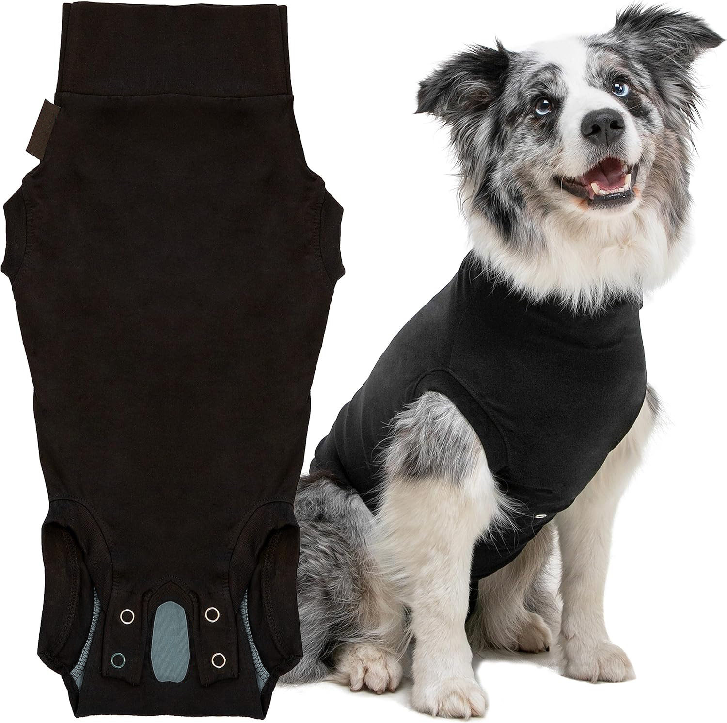 狗狗手术恢复服-带夹式系统的手术恢复服用于绝育失禁皮肤等状况