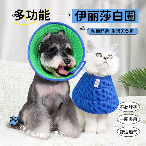 狗狗伊丽莎白圈防舔防咬加厚