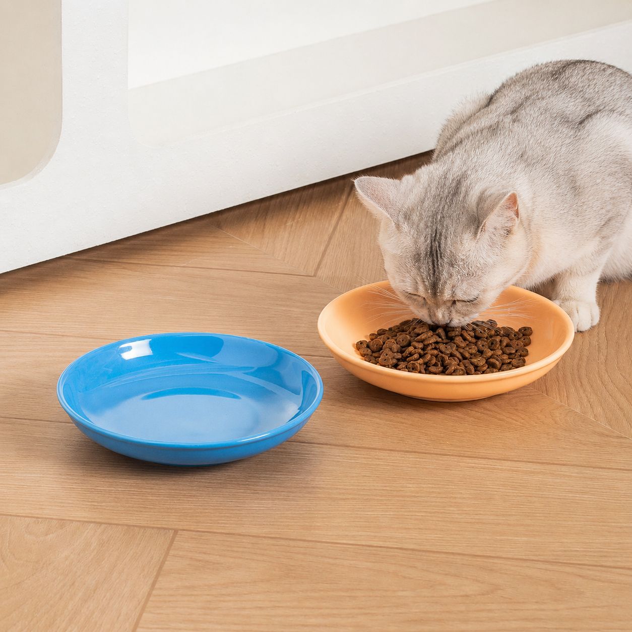 跨境彩色六寸盘陶瓷宠物盘猫碗狗碗防打翻食盆猫咪舔食盘罐头盘