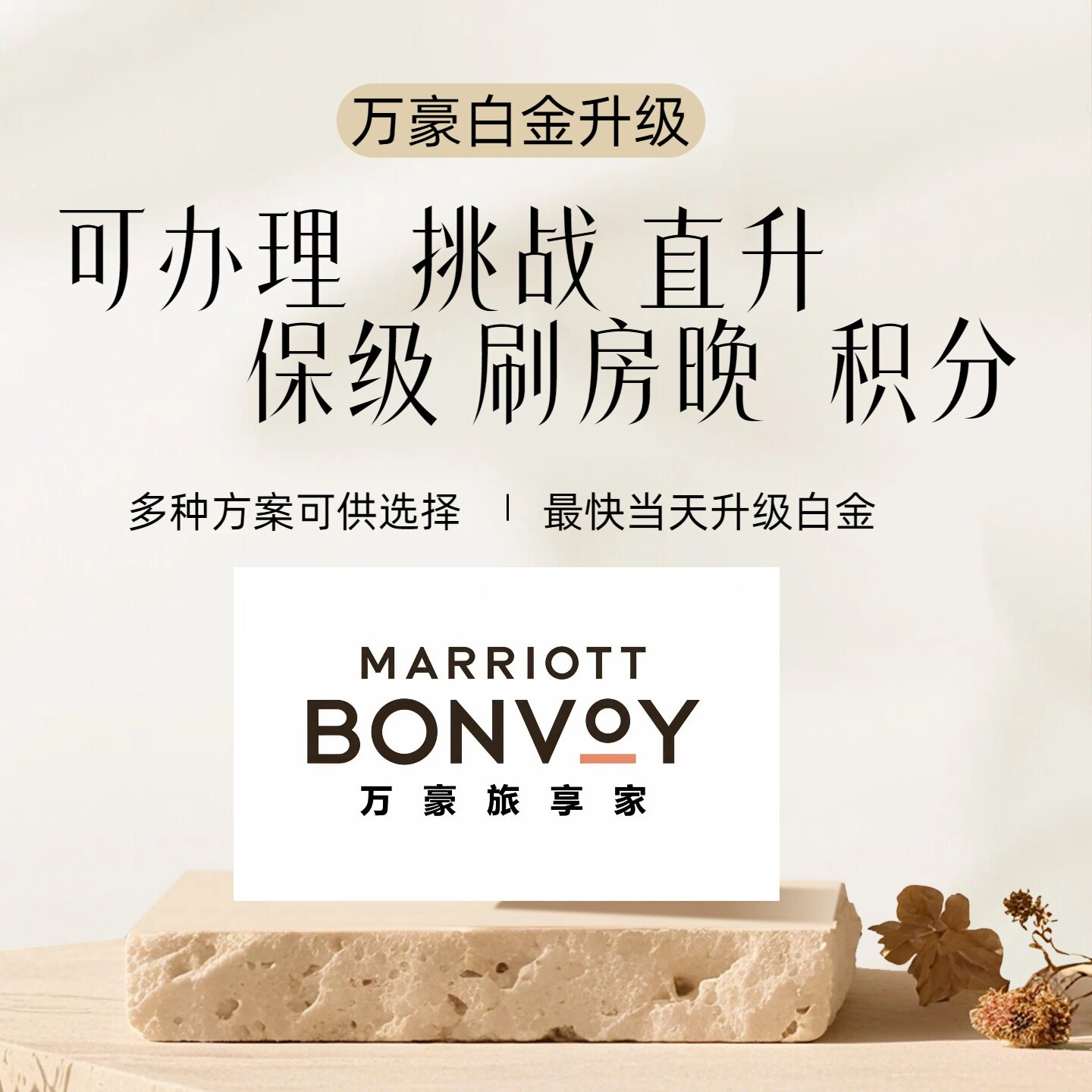 万豪白金卡万豪白金卡升级万豪白金卡保级万豪白金卡挑战万豪会员