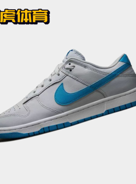 Nike Dunk Low 蓝灰色 男子低帮复古休闲运动板鞋 DV0831-001