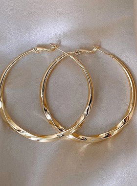 Loga.Py 简约欧美夸张圈圈耳环女新款设计感小众大气法式耳钉耳饰