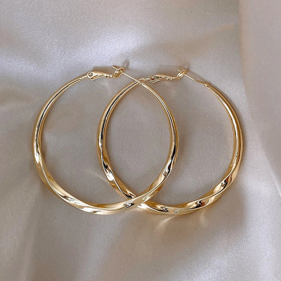 Loga.Py 简约欧美夸张圈圈耳环女新款设计感小众大气法式耳钉耳饰