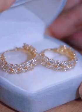 Loga.Py 麦穗锆石耳环女气质耳钉2025年新款爆款时尚百搭耳饰镶钻