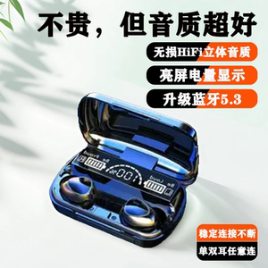 柏林之声蓝牙耳机真无线入耳式2024新款运动超长续航高端降噪游戏