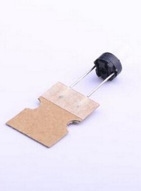 SKRGARD010 轻触开关 轻触开关 插件