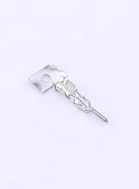 430310021 胶壳端子 430310021