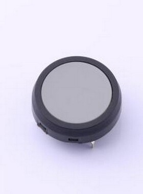 JF15CP2H 轻触开关 JF15CP2H 插件