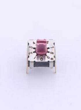 SKBR-10 旋转编码器 旋转编码开关/8421开关/BCD编码开关 插件