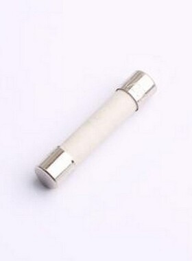 0314006.MXP 一次性保险丝 250V