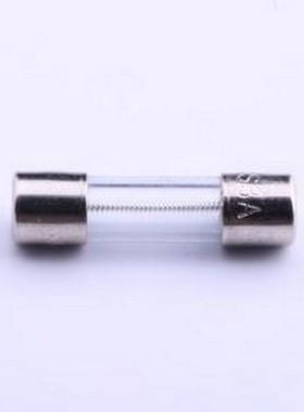 5S.3000240000S1D 一次性保险丝 玻璃管保险丝 D5.2xL20mm