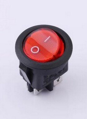 RS601D2-2010011R1B 船型开关 双刀圆形带灯船型开关 插件