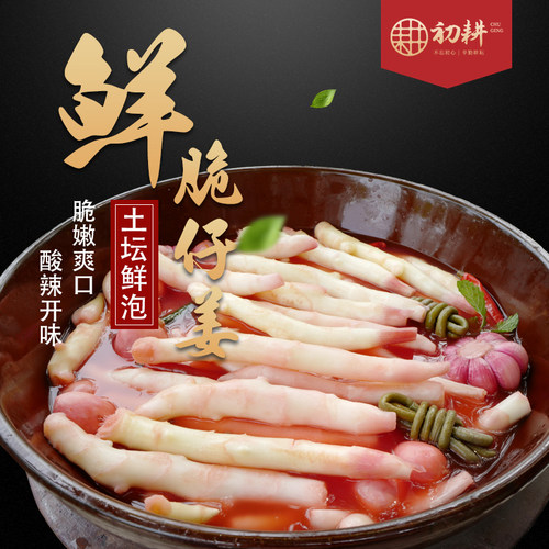 2026即食泡仔姜酸辣泡嫩姜泡姜芽