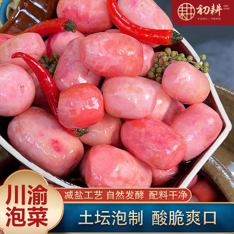 泡红皮萝卜酸萝卜泡萝卜小萝卜蛋蛋脆爽传统老坛泡制即食四川泡菜