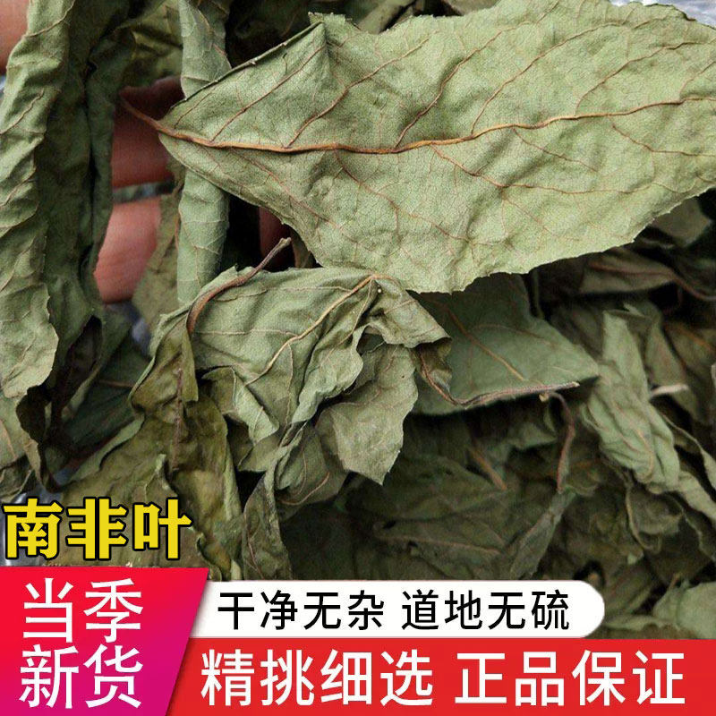 正宗南非叶干叶自然晒干 将军叶 扁桃斑鸠菊自然晒干 无硫 无添加