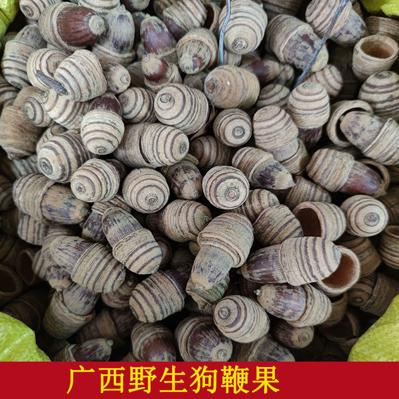 野生广西狗鞭果泡酒中药材