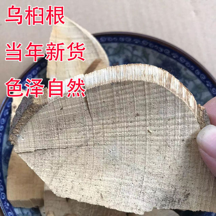 广西野生乌桕树根 腊子树根 桕子树 根木子树 根切片干品 中药材