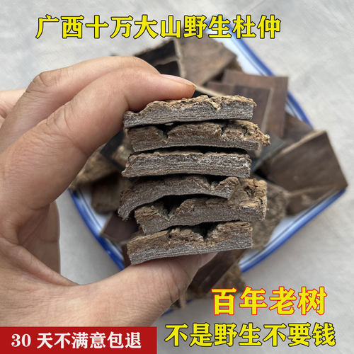 杜仲广西野生杜仲皮百年老树皮