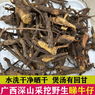 睇牛仔根中药材广西野生 正品苦李脚根 山黑黎罗根 掌牛仔500克