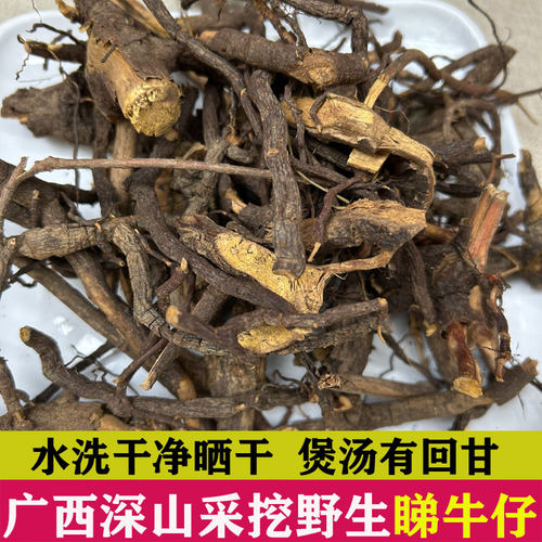 广西睇牛仔根正品野生