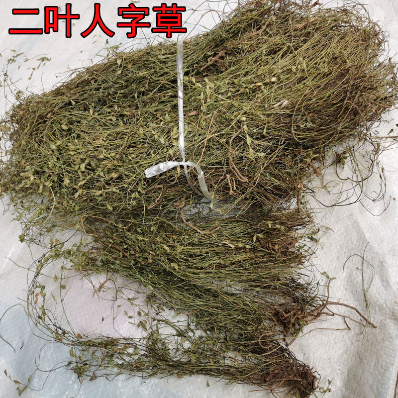 二叶人字草中药材丁癸草一条根新鲜晒干乌龙草丁贵草苍蝇翼蚂蚁草