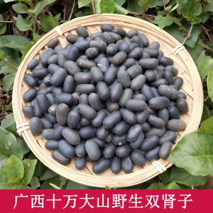 双肾子广西野生石莲子中药材龙凤籽男人泡酒持久补酒温肾补阳