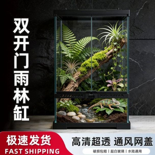 爬宠饲养箱鬃狮守宫陆龟蜥蜴宠物