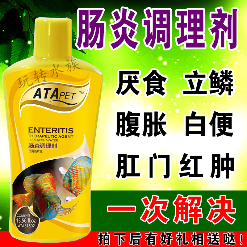 鱼药肠炎灵康万能疾病治疗立鳞厌食通用净水杀菌养鱼用的观赏鱼缸