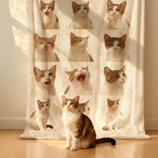【九宫格毛毯定制】可爱猫咪狗照片订做宠物毯子 铺床保暖盖毯