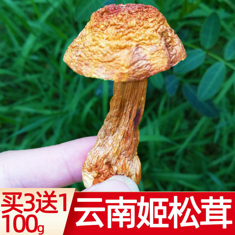 买3送1云南姬松茸干货包邮100g巴西蘑菇