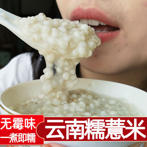 云南薏仁米墨江新货农家自产小薏米粒苡仁香糯无异味糯薏米500克