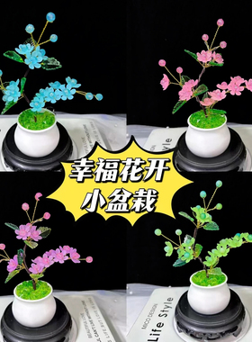 DIY幸福花车载小盆栽材料包