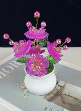 新品小盆栽材料包手工串珠凤凰花