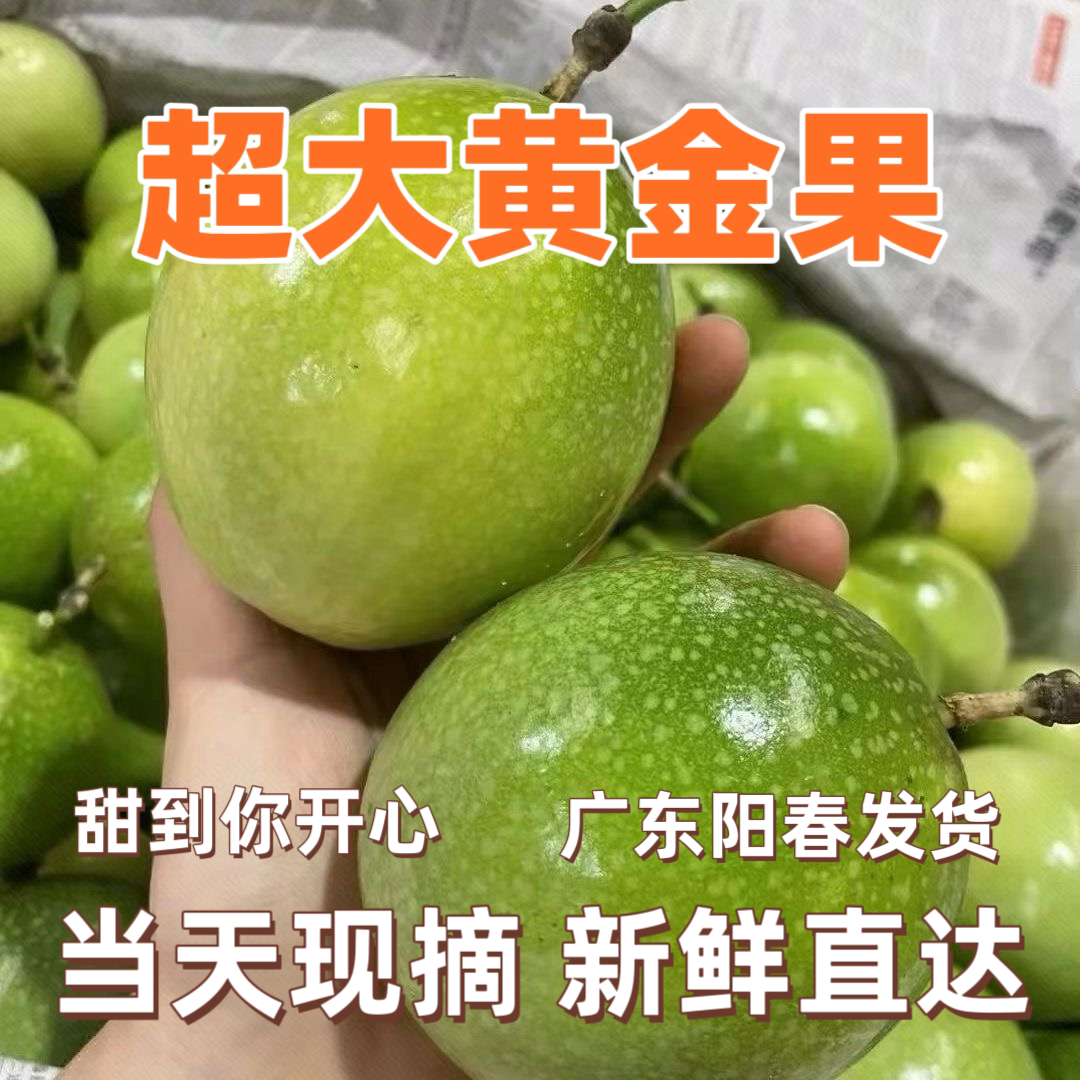 广东阳春黄金百香果新鲜现摘现发第一季大果孕妇水果当季水果包邮