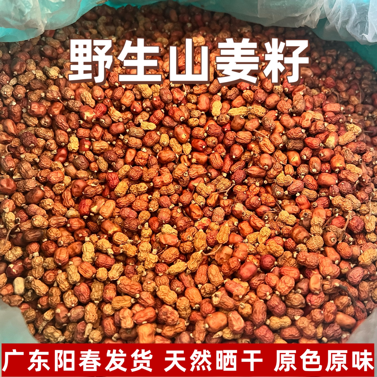 广东阳春野生山姜籽中药材原味姜籽山姜子天然原生态山姜种籽子