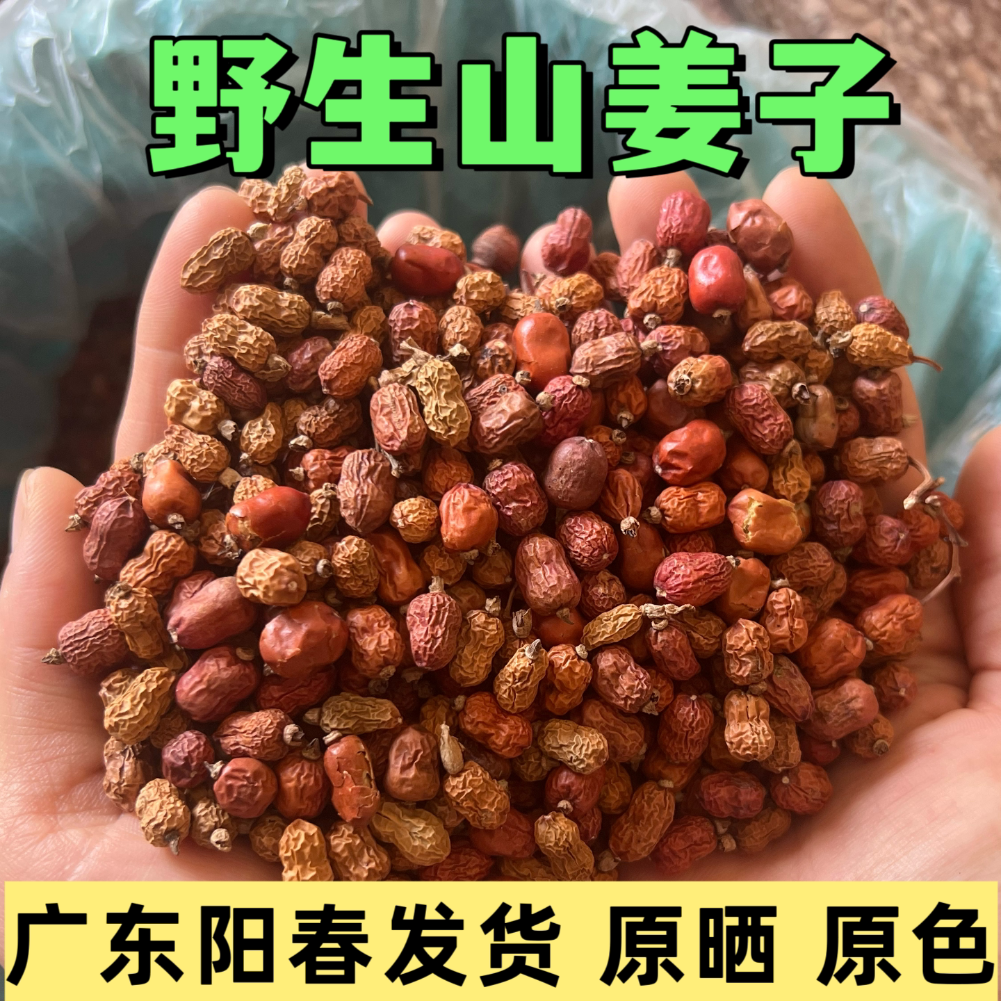正宗野生山姜子广东阳春山味香料