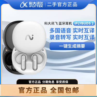 二手科大讯飞iFLYBUDS 2会议蓝牙耳机录音半入耳主动降噪同传翻译