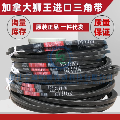 加拿大狮王CNASWR三角带水塔带