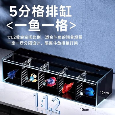 泰国斗鱼专用排缸多格组合孔雀鱼国斗鱼缸隔离超白玻璃专业用组缸