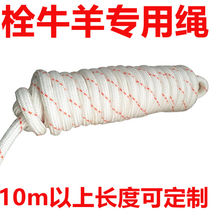 栓牛绳子专用的拴羊绳长10m/50m/100m米
